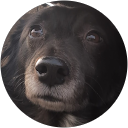 Andrew Tonges Andrew Tonges